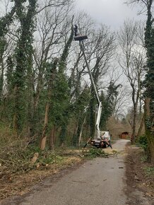 Rizikové pilenie stromov arboristika - 7