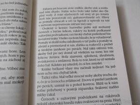 Raymond Chandler-Zbohom moja krásna - 7