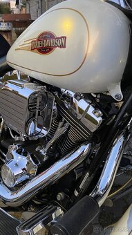 Harley Davidson Softail 110” - 7