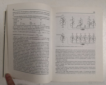 Šľachtenie rastlín - 7