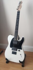 Fender Jim Root Telecaster Made in Mexico - 7