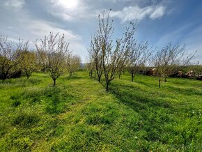 Útulný domček s ovocným sadom a záhradou, Korlát - 7