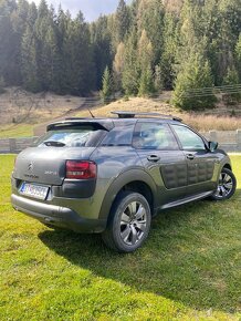 C4 cactus - automat - 7