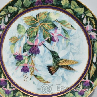 Royal Doulton - porcelánové taniere - Kolibríky - 7