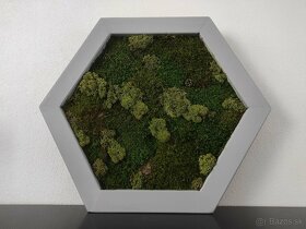 Predám obraz z machu: Hexagon šedý M (50 x 45 cm) - 7