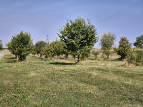 Predaj objekt vhodný na agroturistiku, 5-izb.RD, stajňa, han - 7