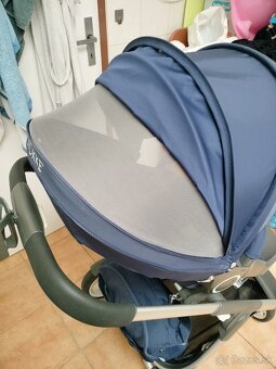 Stokke cruzi - 7