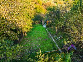 Pekná záhrada na konci tichej slepej ulice, Košice - 7