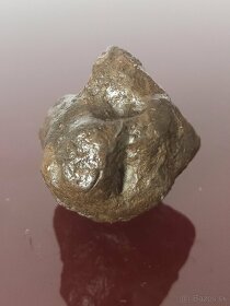 Meteorit - eukrit z asteroidu 4 Vesta- 75,7 g - 7