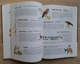 Detska encyklopedia - 7