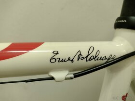 Colnago Primavera "53" - 7