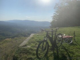 Specialized Turbo Levo Hardtail XL - 7