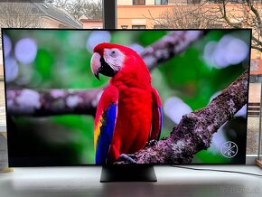 Samsung QE65QN91B Smart Ultra HD 100Hz 164cm - 7