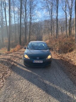 Peugeot 307 - 7