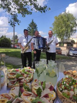 ŽIVÁ HUDBA NA NARODENINY OSLAVY SVADBY SOBÁŠE A INE - 7