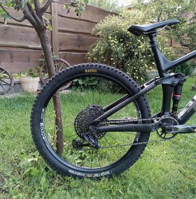 Trek Remedy 8 2020 - 7