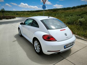 VW Beetle - 7