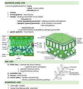 Prijímačky fyzioterapia, farmácia, dentálna hygiena - 7