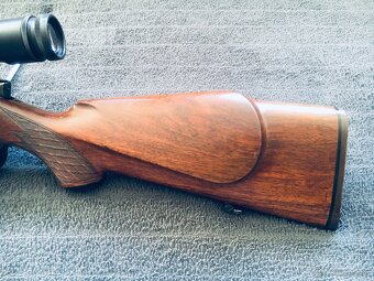 Steyr Mannlicher .243 Winchester - 7