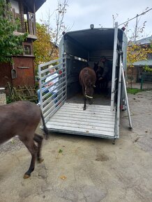 Preprava-prevoz transport koni,hov.dobytka,ovic,koz. - 7