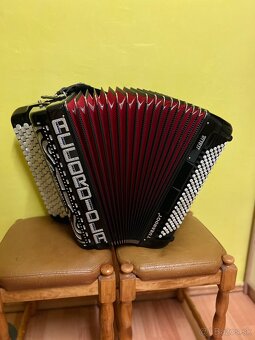 Accordiola - 7