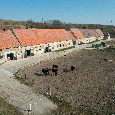 Predám žrebčín Kobyľany, okres Skalica - 7