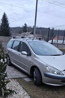 Peugeot 307SW - 7