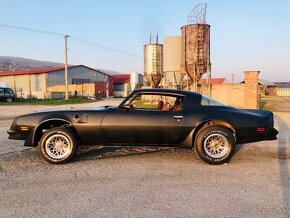 Pontiac Firebird Trans Am 1979, V8 400cui - 7