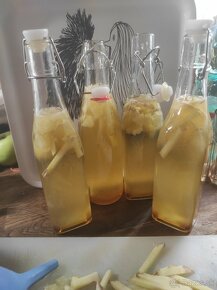 Kombucha - 7