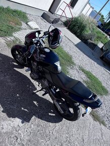 Honda Hornet 600 - 7