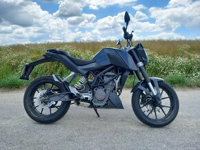 KTM DUKE 125 11kW - 7