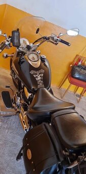 Yamaha dragstar 1100 - 7