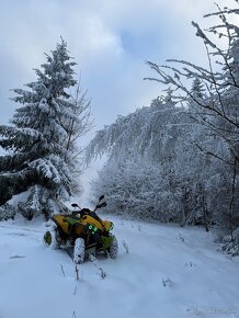 Can am renegade 800 - 7