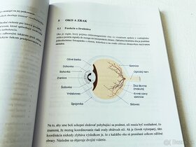 Ľudské faktory v letectve - Ľudská výkonnosť a obmedzenia - 7