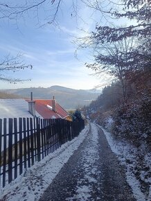 Pozemok Dunajov-Potoky na chov alebo pestovanie drevín - 7