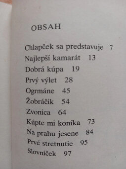 Chlapčekovo leto - Mária Rázusová Martáková, z roku 1981 - 7