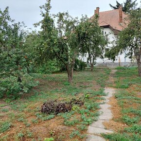 Netradičný rodinný dom – „kaštieľ“ v obci Neded okr. Šaľa - 7