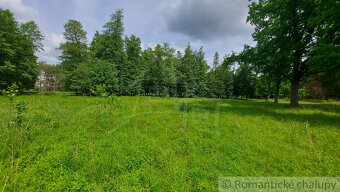 Lesný pozemok 37 000 m2 - 3,7 ha v obci Borský Mikuláš, 60 - 7