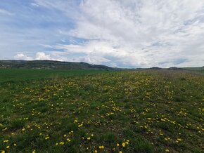 41186- Predaj pozemku v časti Kostolná okres Detva - 7