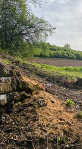 Na predaj pozemok 10 881 m2 s časťou lesíka v Starej Turej - 7