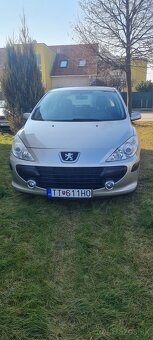 Peugott 307 1.6 benzin - 7