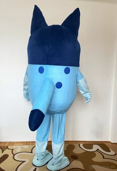 Maskot/kostým pes Bluey - 7