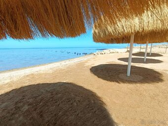 Premier front beach Hurghada Egypt - 7