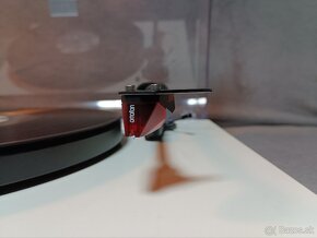 PRO-JECT DEBUT CARBON - 7