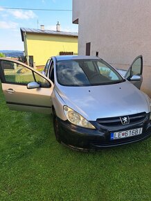 Peugeot 307 LACNO - 7