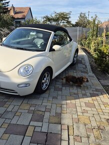 Vw Beetle - 7