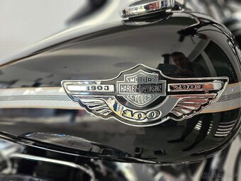 HARLAY DAVIDSON softail 100th - 7