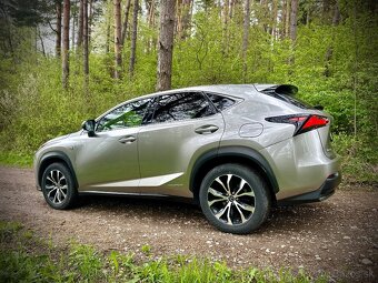 Lexus NX300h F-SPORT - 7