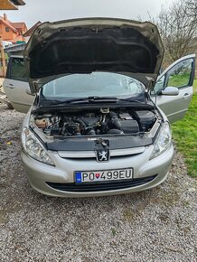 Peugeot 307 sw - 7