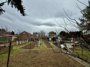 Predaj dvojzáhradky v Kráľovej nad Váhom - 7